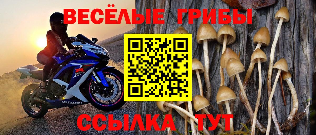 Коломна  Псилоцибиновые грибы ЛСД  Вход с VPN 